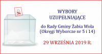 wybory uzupełniające