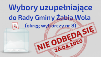 wybory uzupełniające nie odbędą się