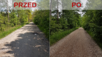 ul. Aleja Dębowa, Musuły