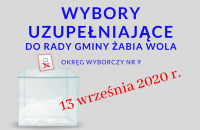 wybory