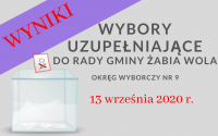 wyniki wyborów