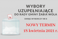 zmiana terminu wyborów