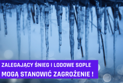 zaśnieżone dachy