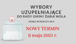 wybory_uzupełniające