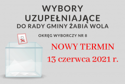 wybory