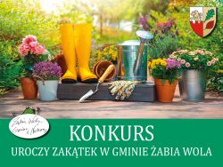 konkurs