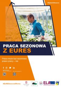 Praca może być sezonowa, prawo pracy - nie