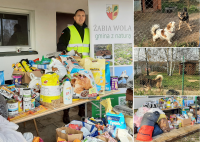 Przekazanie darów dla schroniska w Korabiewicach