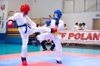 II Puchar Polski Taekwon-Do ITF w Gminie Żabia Wola