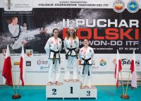 II Puchar Polski Taekwon-Do ITF w Gminie Żabia Wola