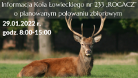 Informacja Koła Łowieckiego nr 233 „ROGACZ”