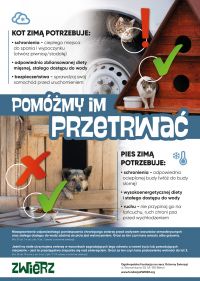 Pomórzmy przetrwać zwierzętom zimą!