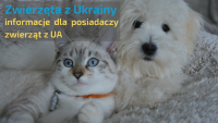 Zwierzęta z Ukrainy informacje dla posiadaczy zwierząt z UA