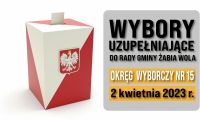 wybory