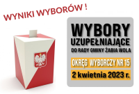 wyniki wyborów