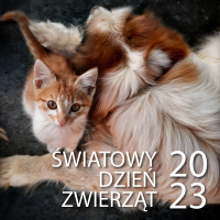 Światowy dzień Zwierząt