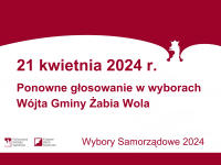 wybory samorządowe II tura