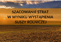 szacowanie strat  w wyniku wystąpienia  suszy rolniczej