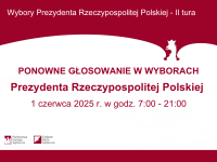 wybory Prezydenta RP - II tura grafika