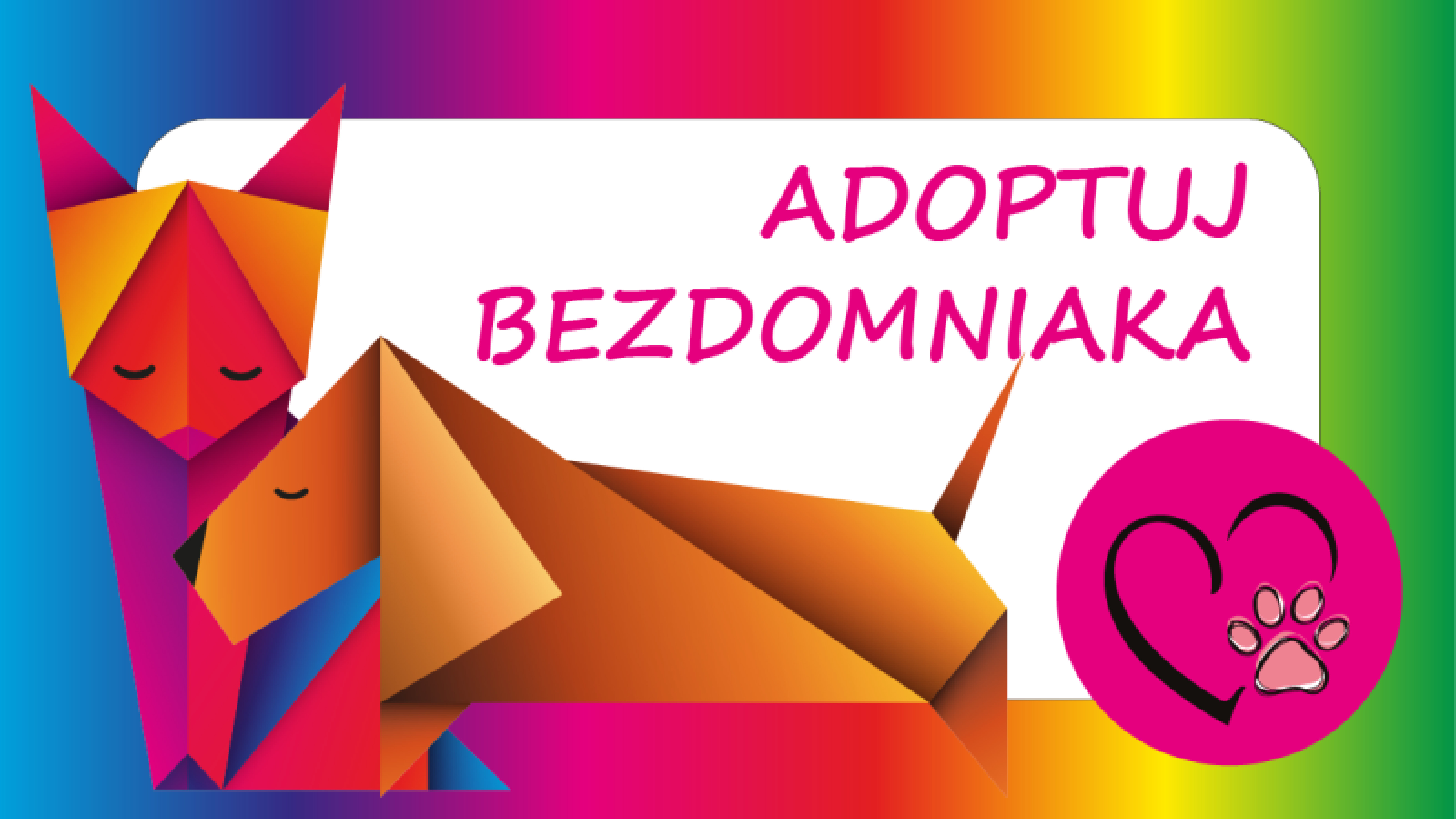 adoptuj bezdomniaka