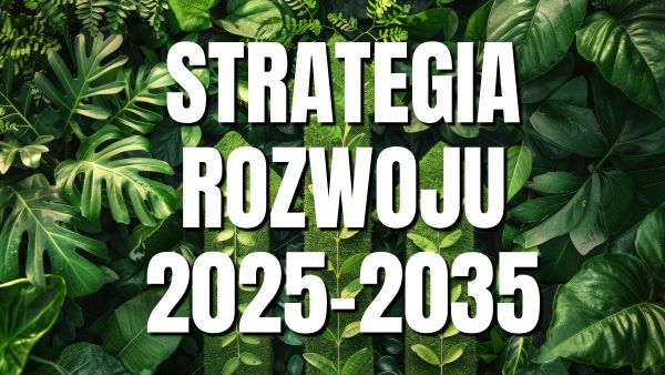 strategia rozwoju 2025-2035
