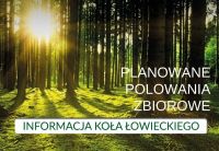 Planowanie Polowania