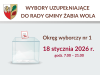 wybory uzupełniające