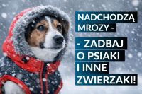ZADBAJ O PSA ZIMĄ