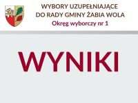 wyniki wyborów