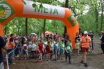 II Bieg z Żabką - fotorelacja