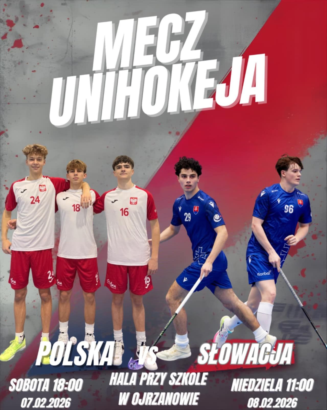 Mecz Polska-Słowacja