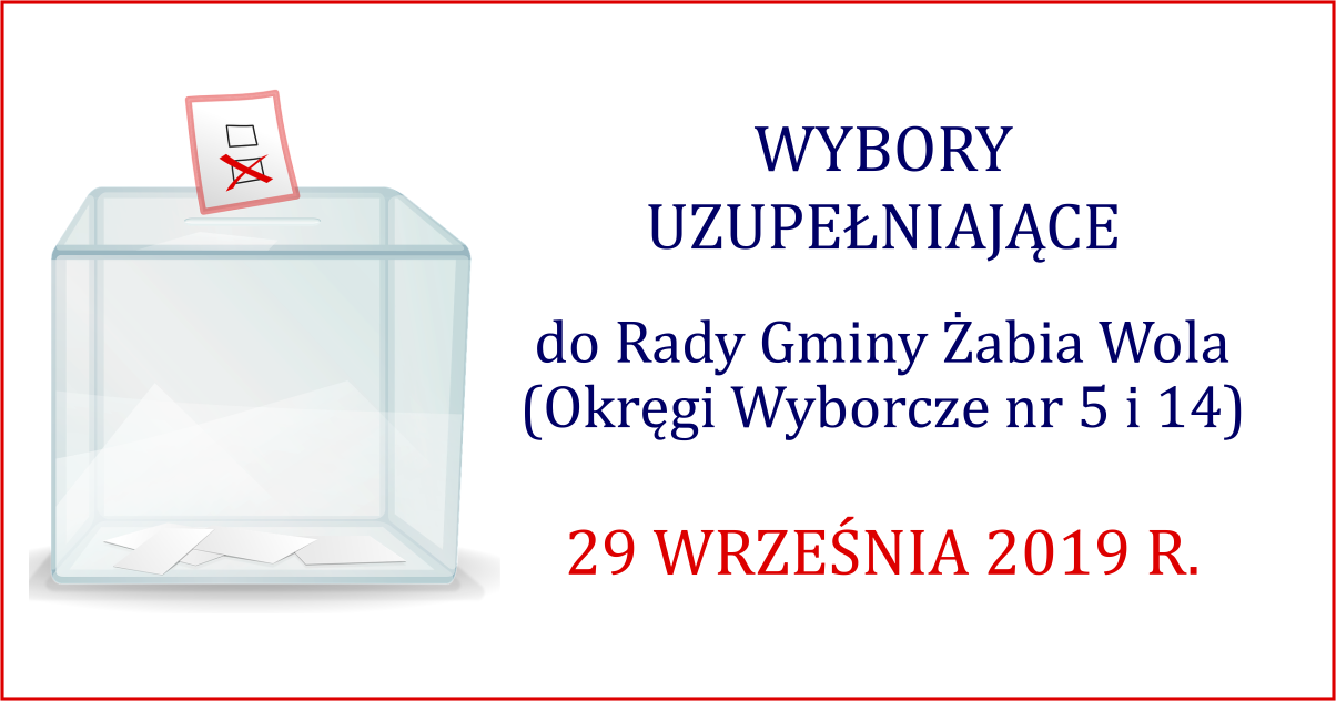 Wybory uzupełniające do Rady Gminy Żabia Wola