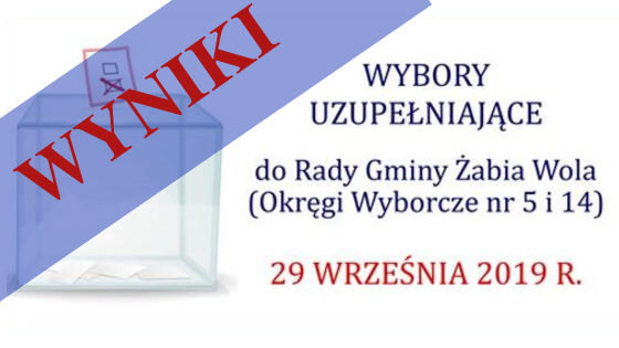 Wyniki wyborów uzupełniających