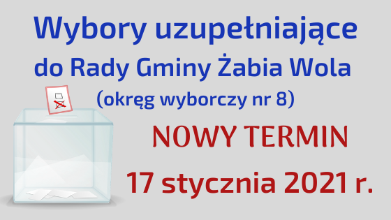 Nowy termin wyborów uzupełniających do Rady Gminy Żabia Wola