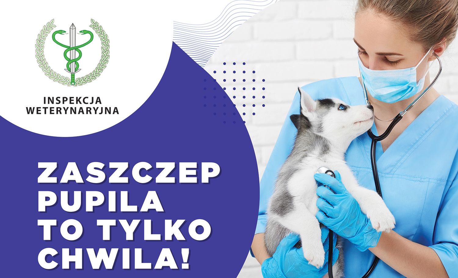 Przypominamy o obowiązkowym szczepieniu psów przeciwko wściekliźnie! Zaszczep swojego pupila to tylko chwila!