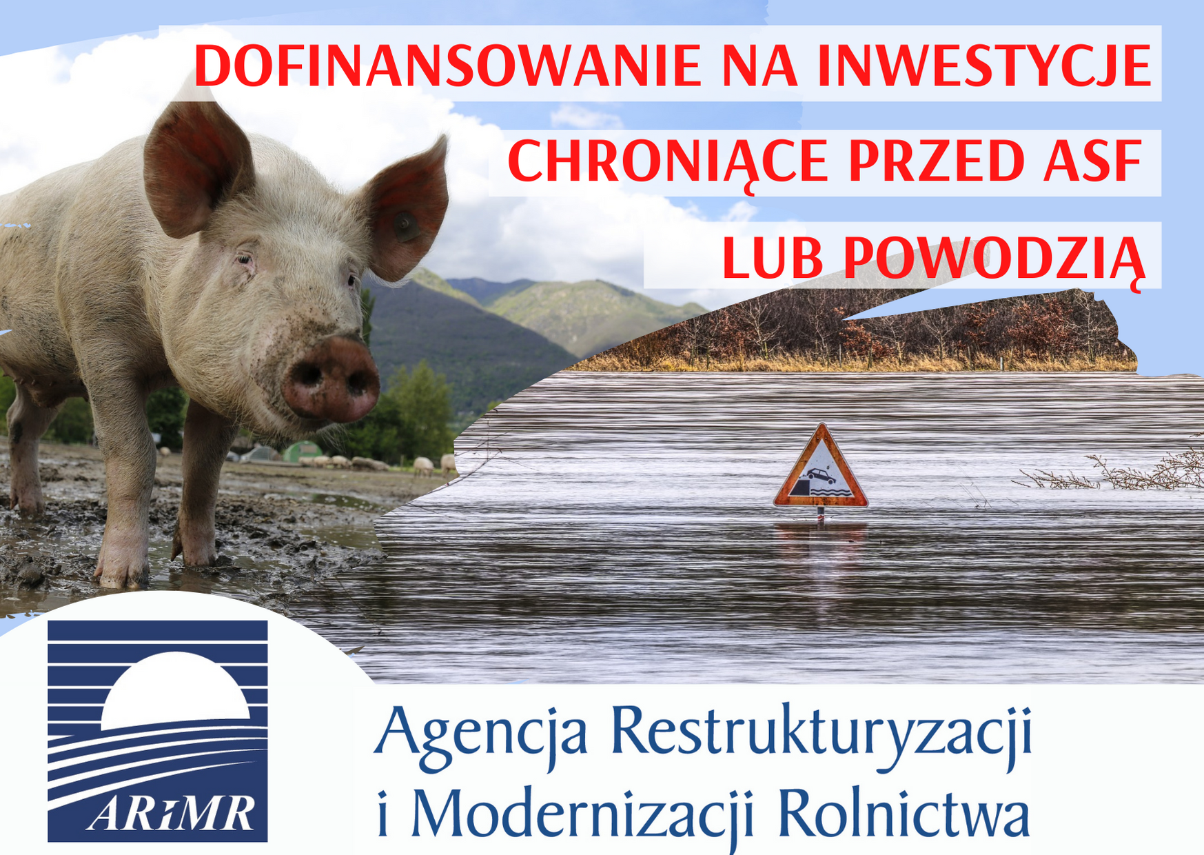 Więcej czasu na złożenie wniosku o dofinansowanie na inwestycje chroniące przed ASF lub powodzią