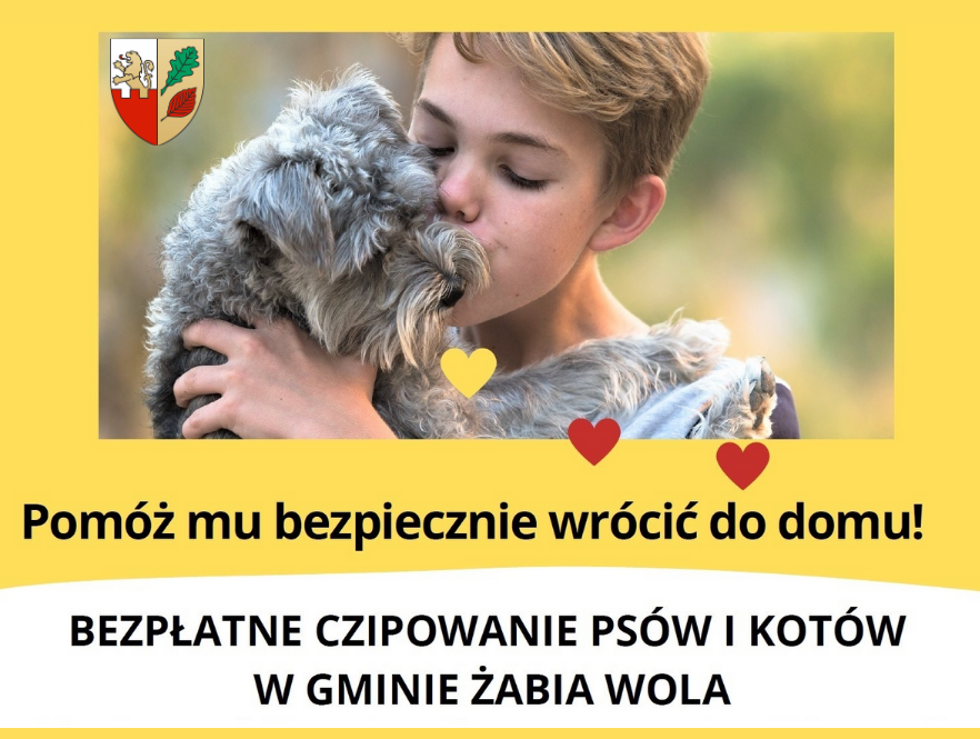 Bezpłatne czipowanie psów i kotów. Nie zwlekaj- zaczipuj!  