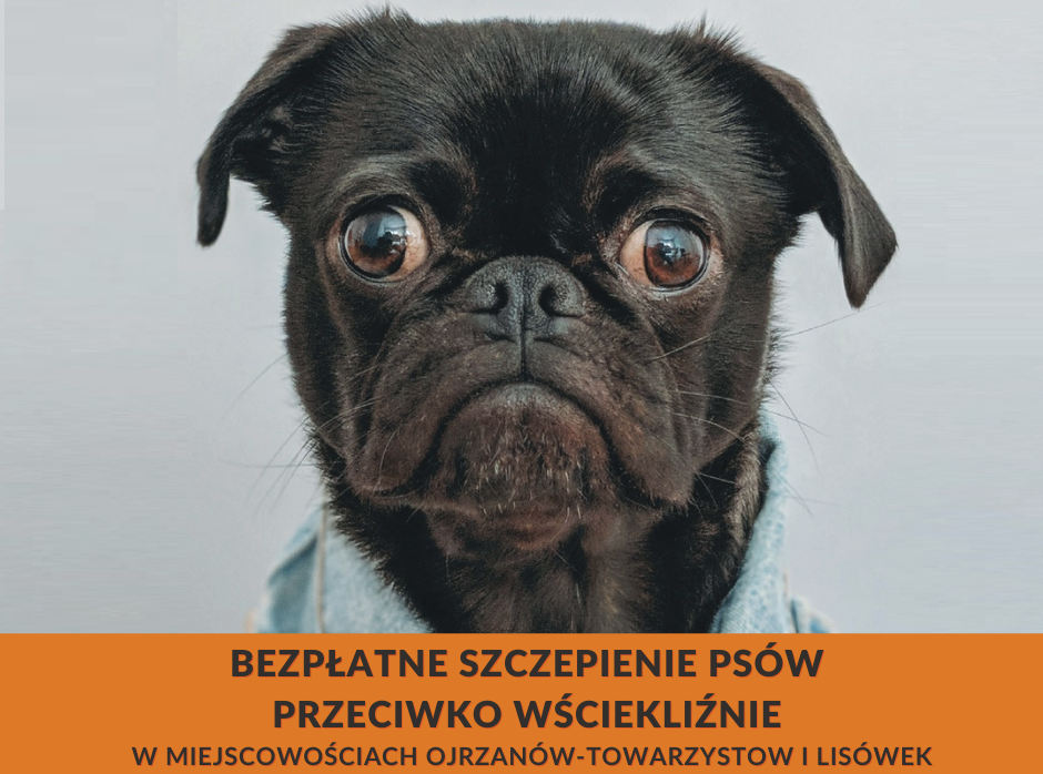 Zaszczep mnie nim się wścieknę!