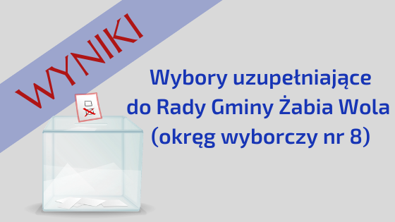 Wyniki wyborów uzupełniających