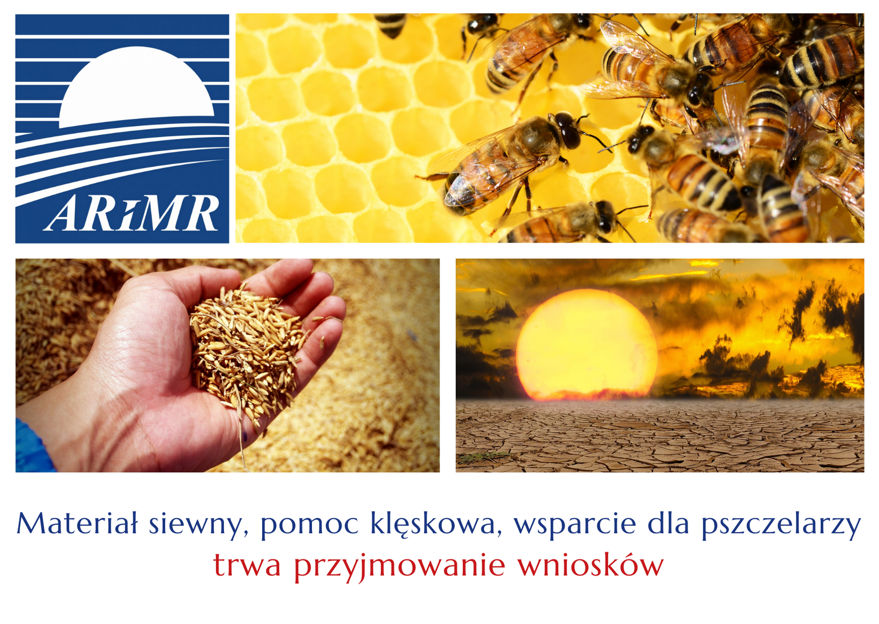 Materiał siewny, pomoc klęskowa, wsparcie dla pszczelarzy – trwa przyjmowanie wniosków