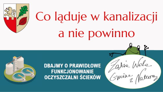 Co ląduje w kanalizacji a nie powinno