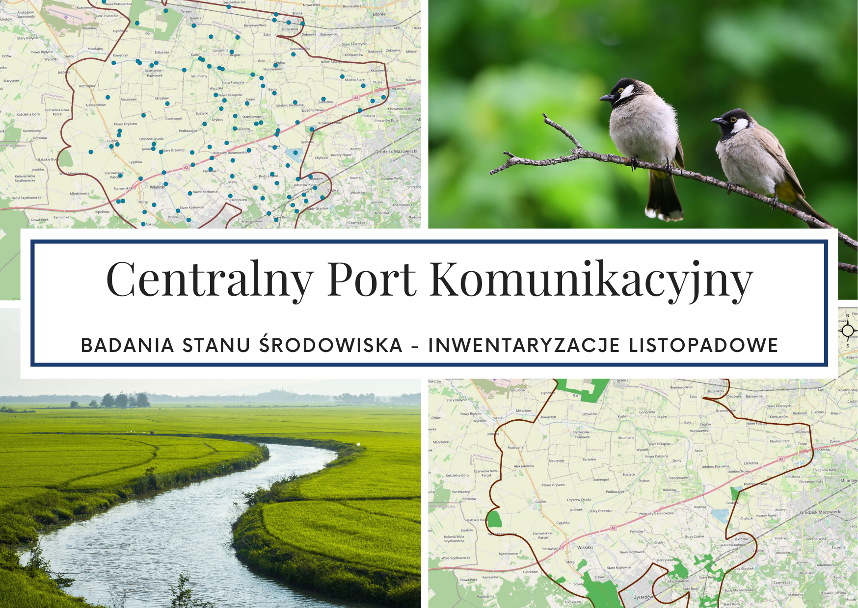 CPK: badania stanu środowiska - inwentaryzacje listopadowe