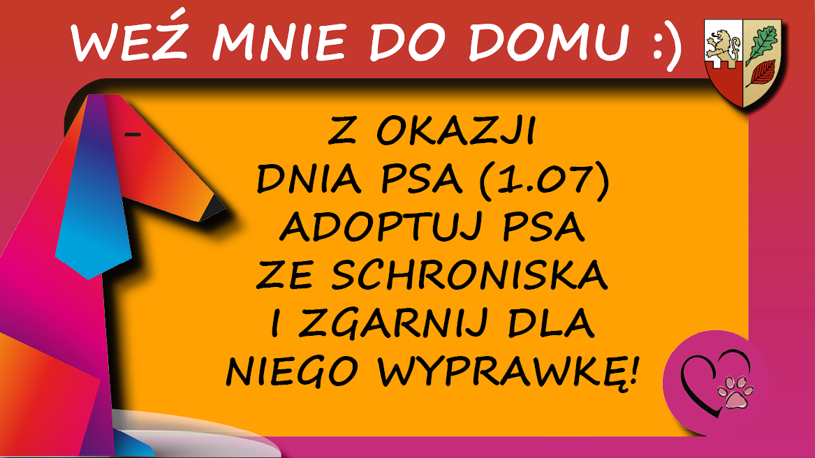 Adoptuj psa ze schroniska, a dostaniesz dla niego wyprawkę!