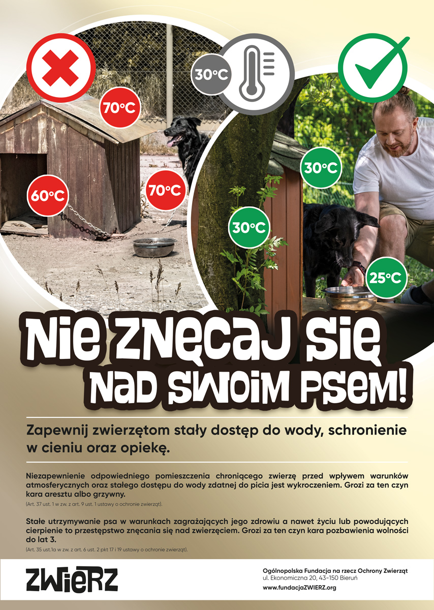 Nie znęcaj się nad swoim psem!