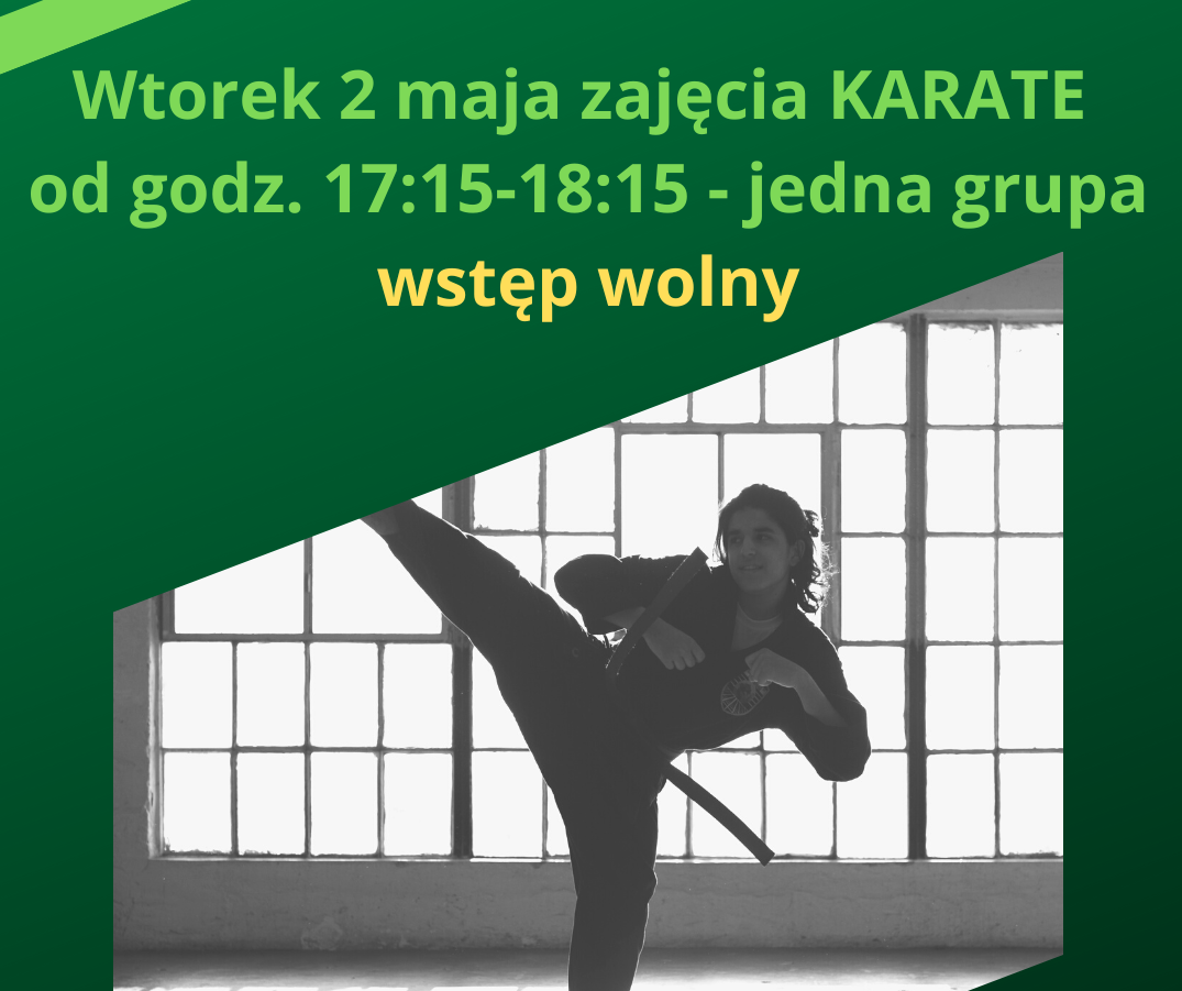 Zajęcia karate - 2 maja 2023 r.