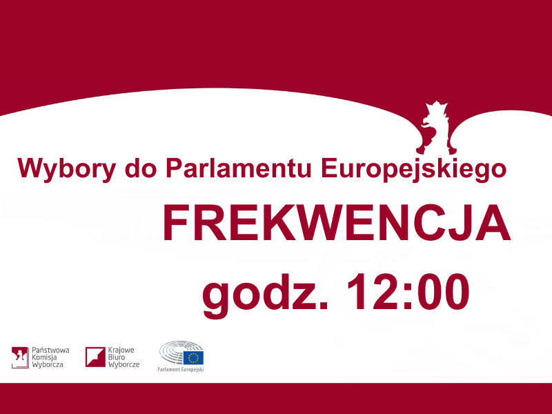 Wybory do Parlamentu Europejskiego - frekwencja godz. 12:00