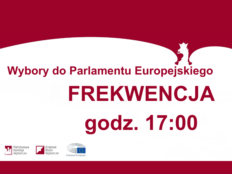 Wybory do Parlamentu Europejskiego - frekwencja godz. 17:00