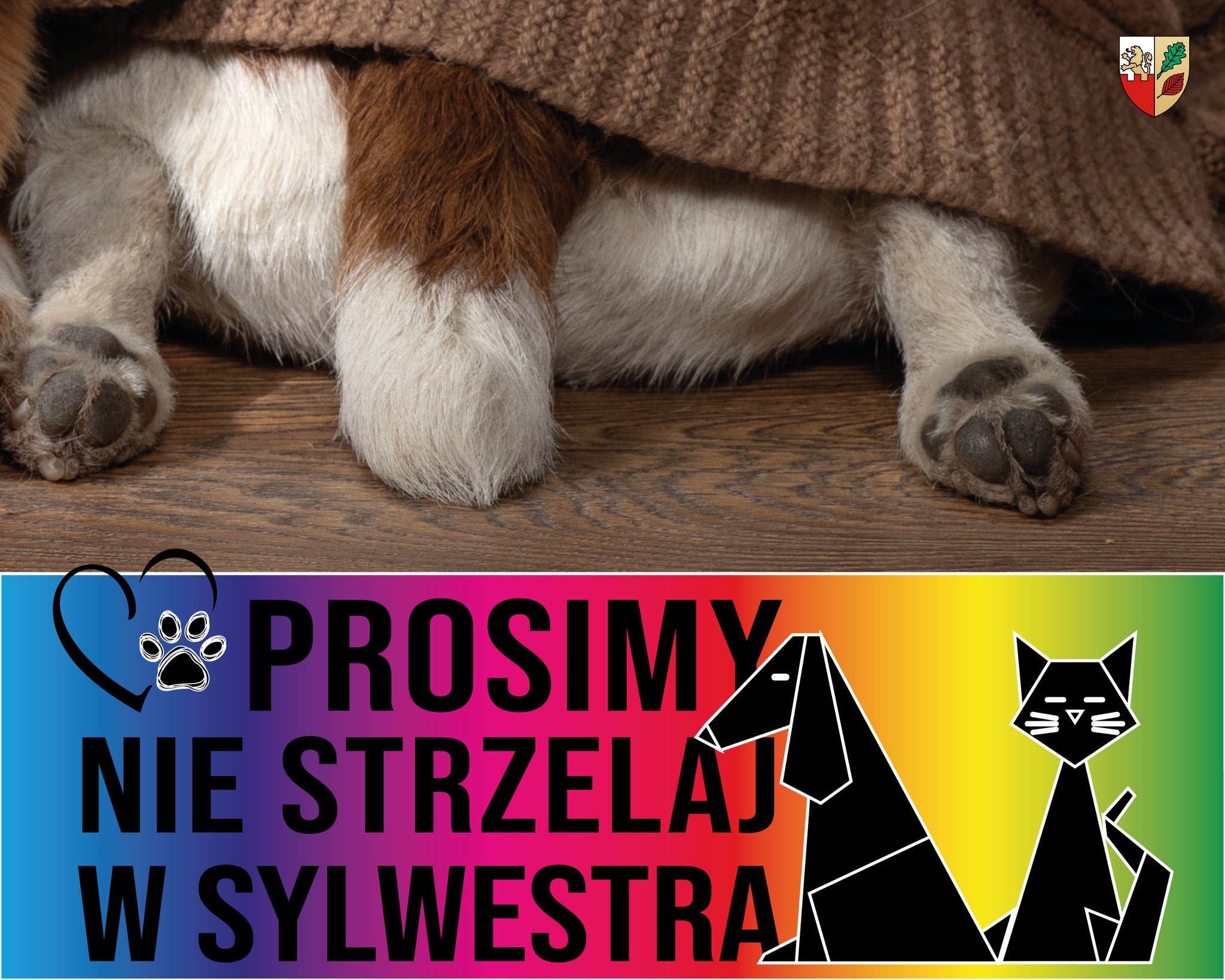 NIE STRZELAJ W SYLWESTRA!