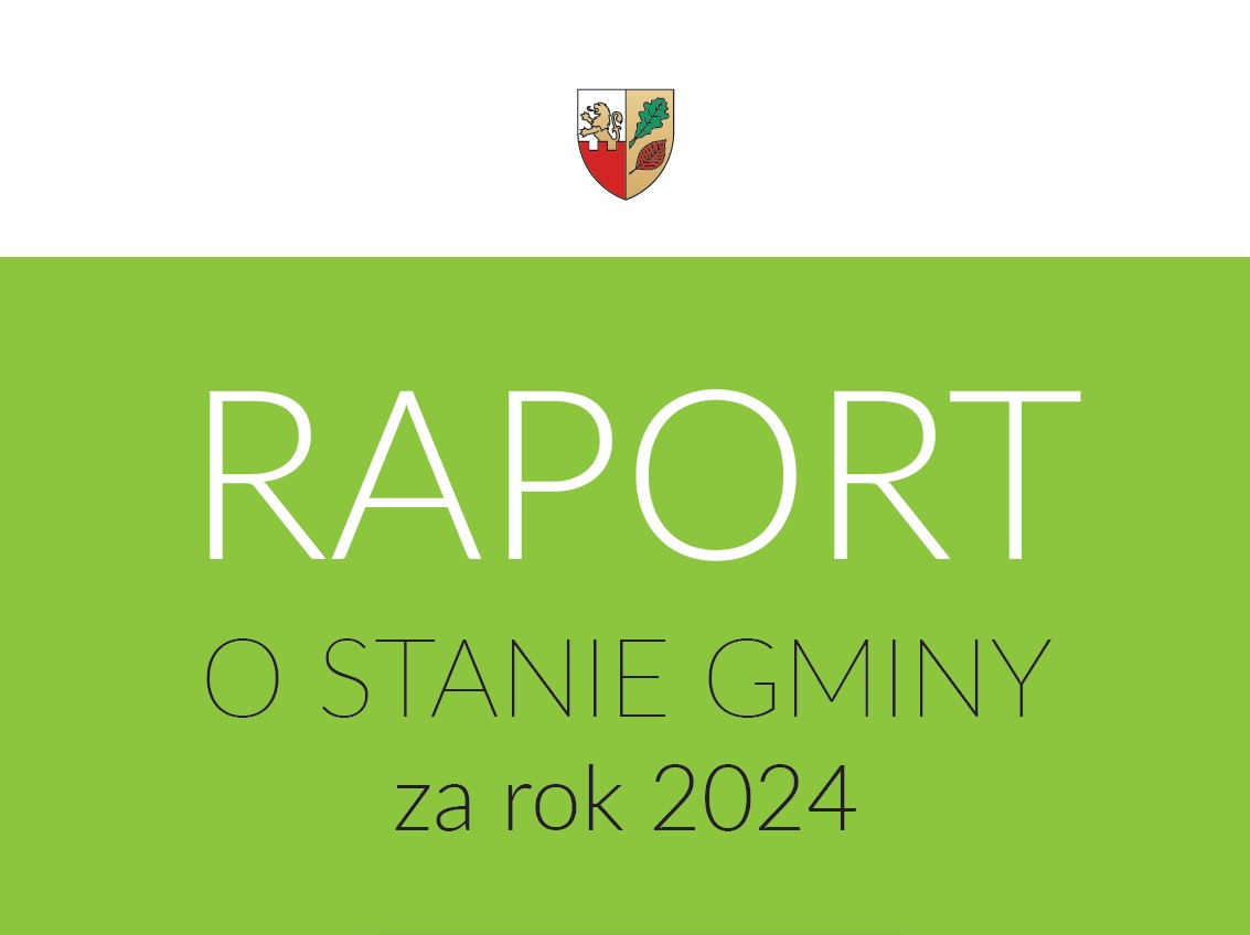 raport grafika