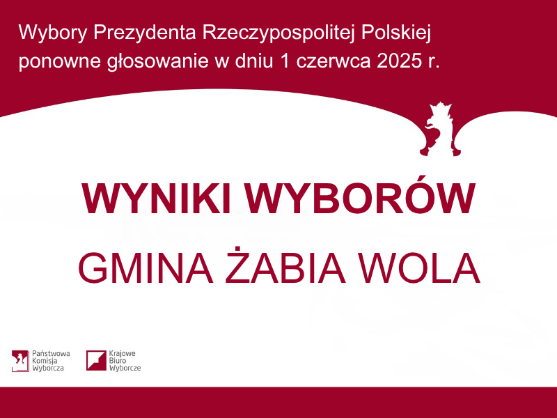wyniki wyborów grafika